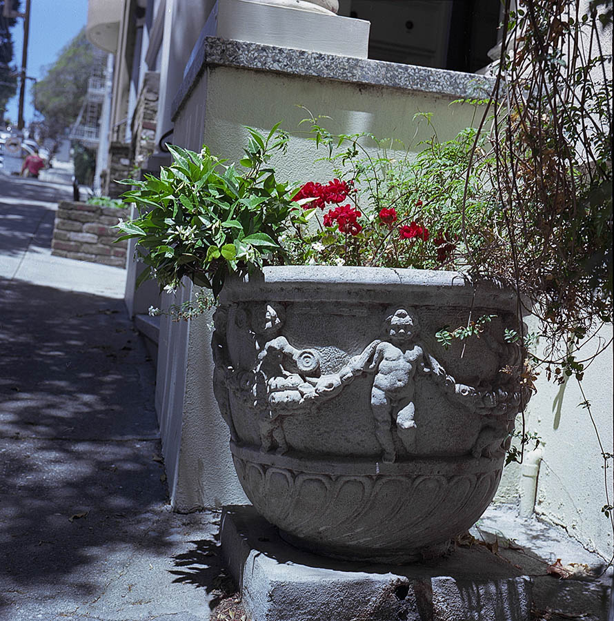 Image 14