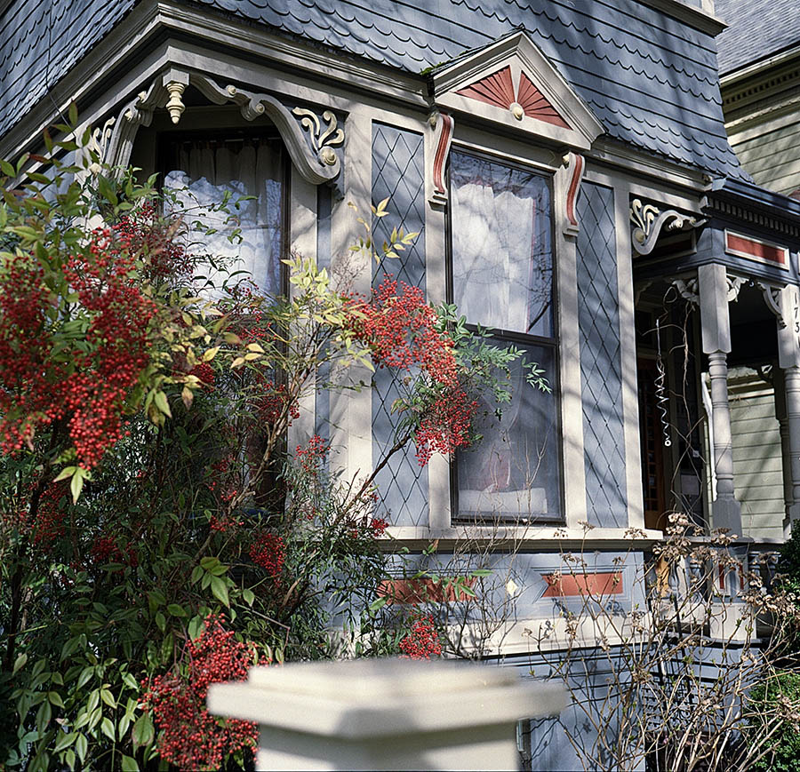 Image 15