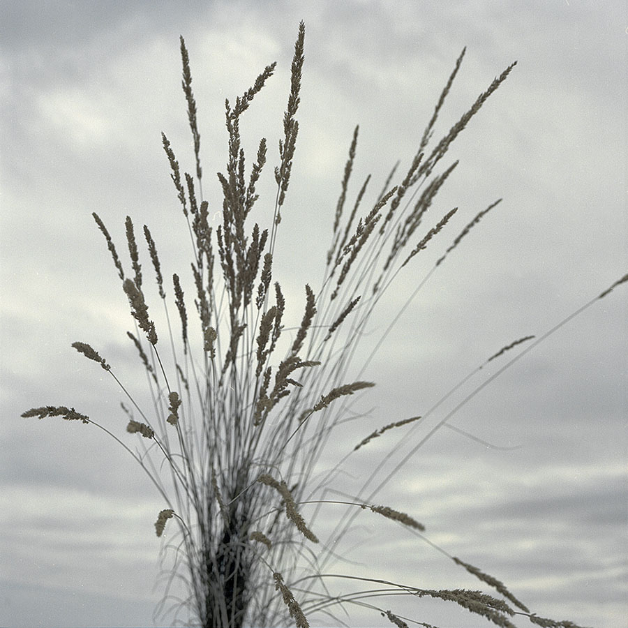 Image 22