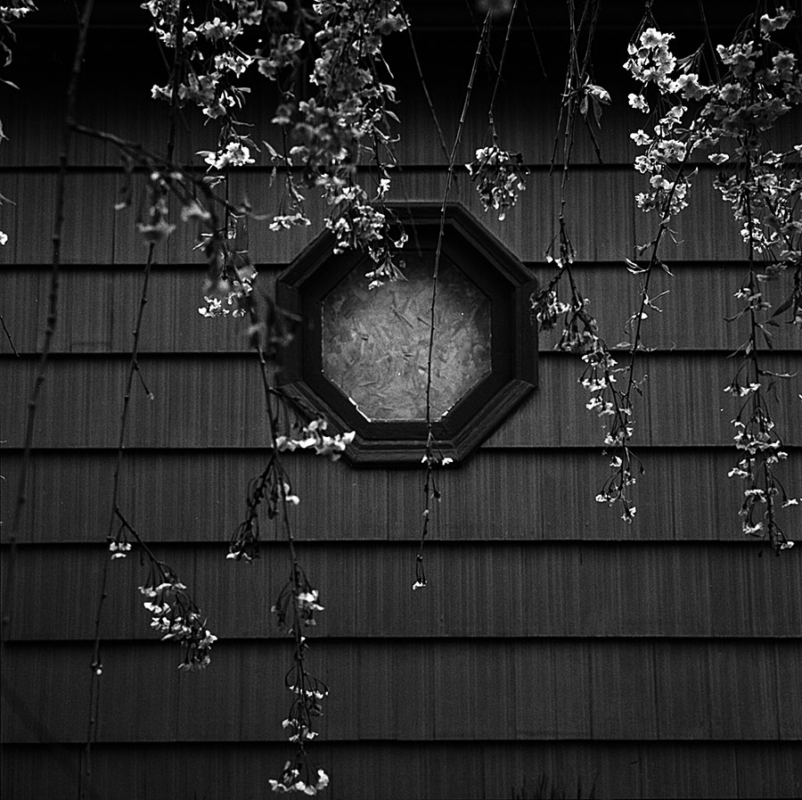 Image 64