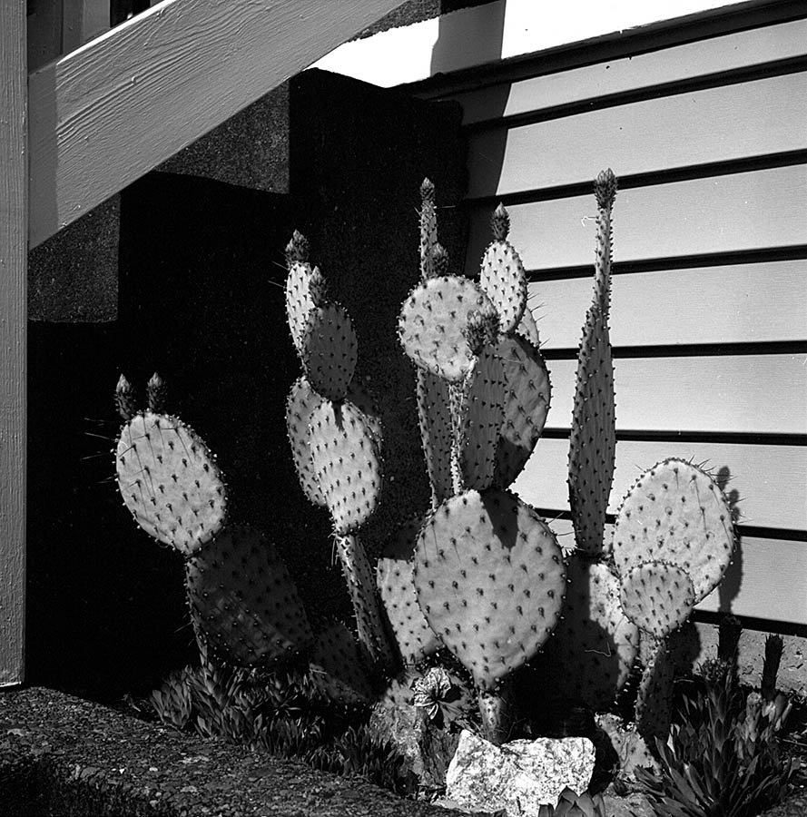 Image 80