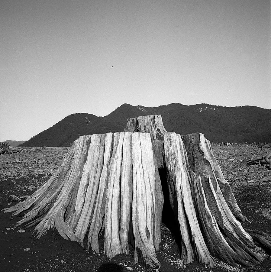 Image 89