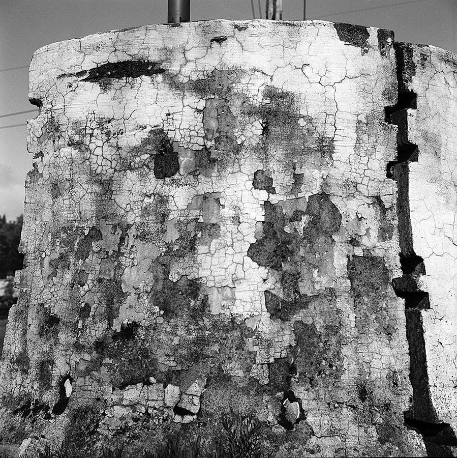 Image 95