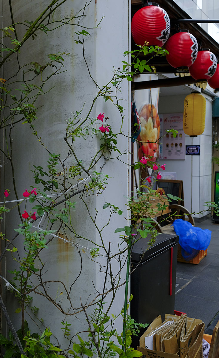 Image 10