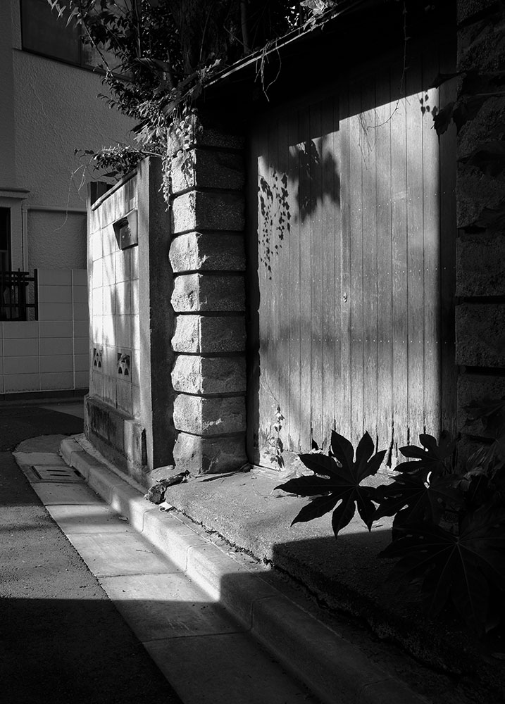 Image 101