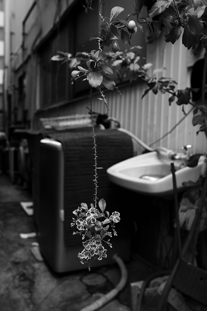 Image 101