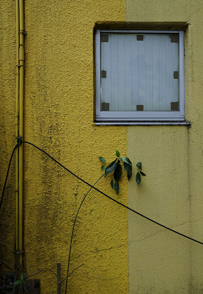 Image 17