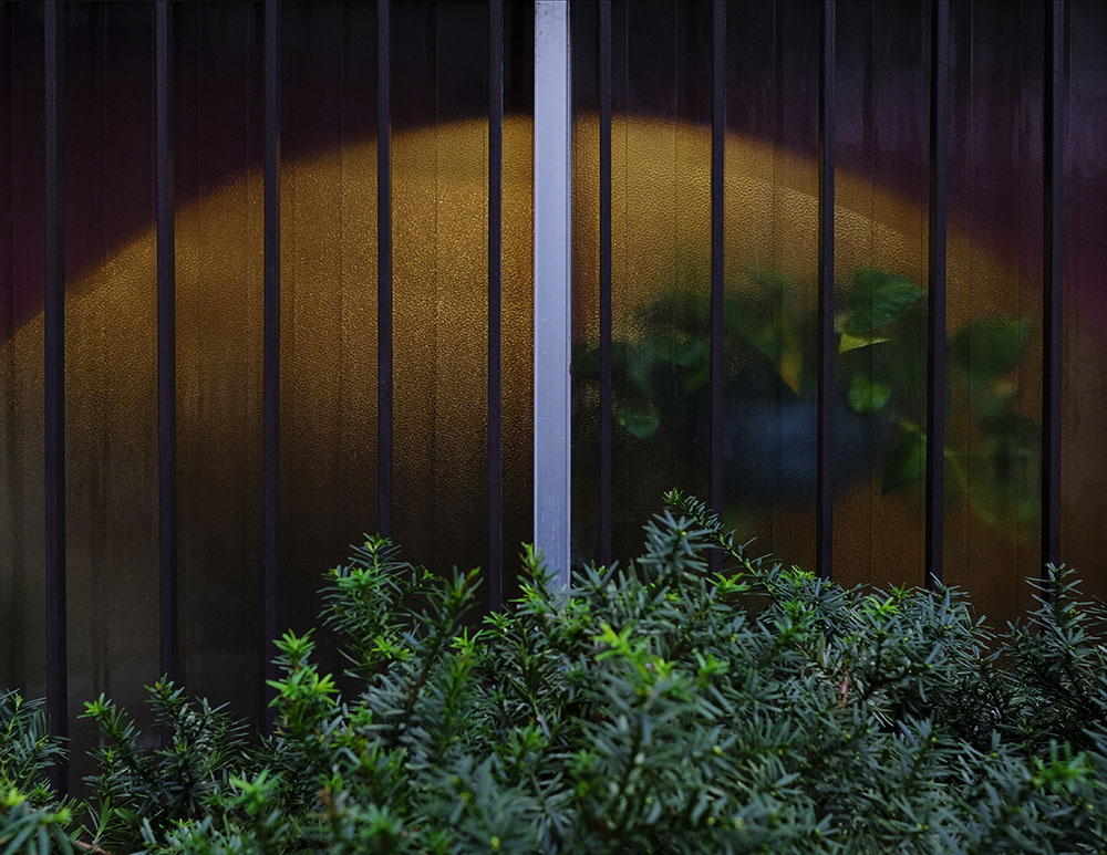 Image 31