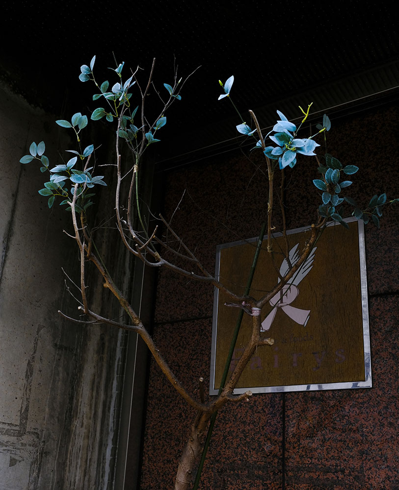 Image 5