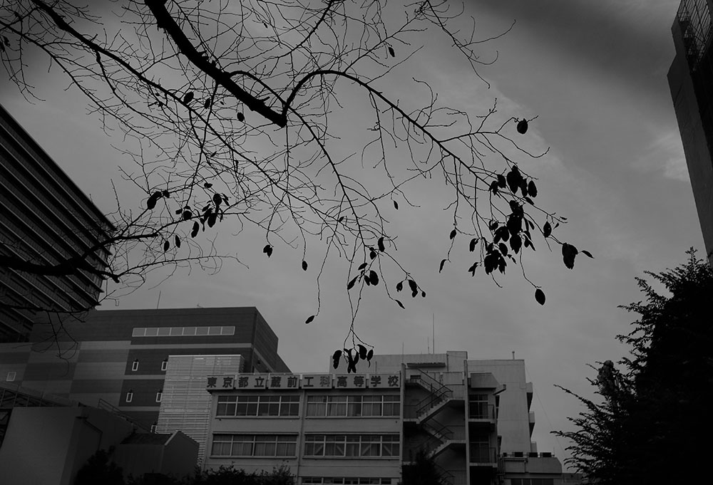 Image 54